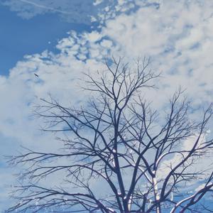 日本三级无码中文字幕
