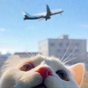 日本三级无码中文字幕
